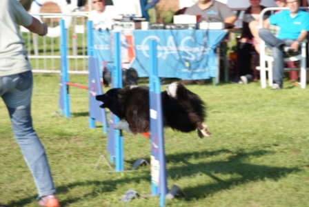 DSC03419