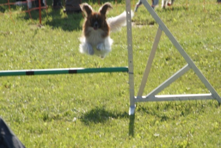 DSC03477