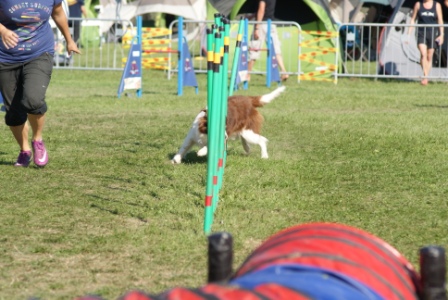 DSC03648