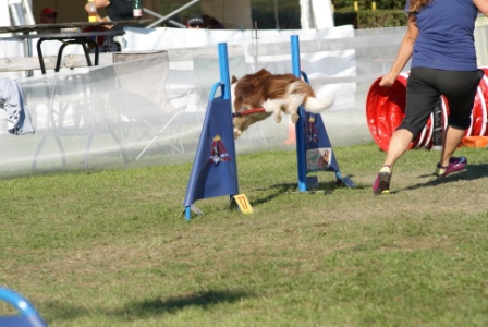 DSC03650