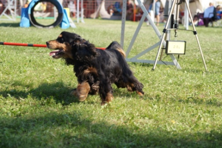 DSC03668
