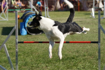 DSC03699