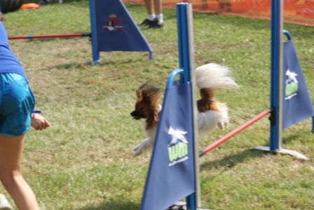DSC03736