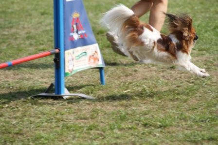 DSC03741