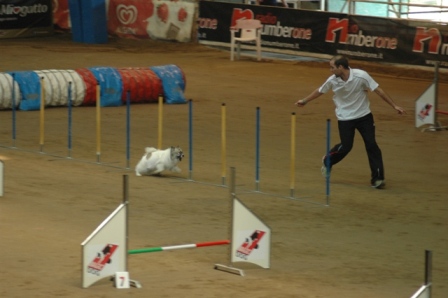 DSC 1005