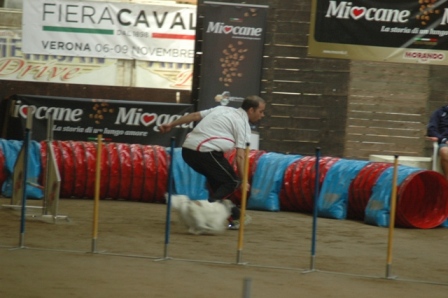 DSC 1131