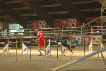 DSC 1212