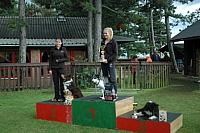 DSC 0142