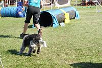 DSC03600