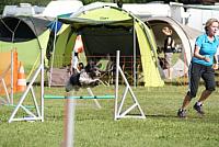 DSC03602