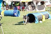 DSC03618