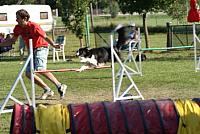 DSC03688