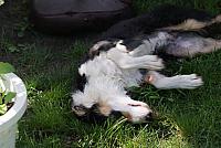 tn DSC02027