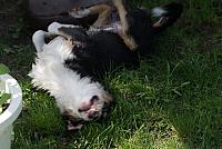 tn DSC02028