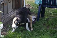 tn DSC02031