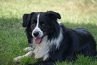 tn DSC02049