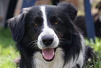 tn DSC02056