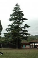 DSC 0561