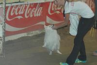 DSC 0758