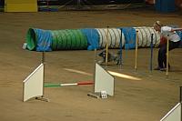 DSC 1019