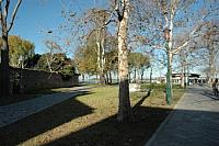 DSC 9353